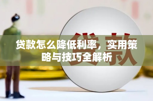 云龙贷款怎么降低利率，实用策略与技巧全解析