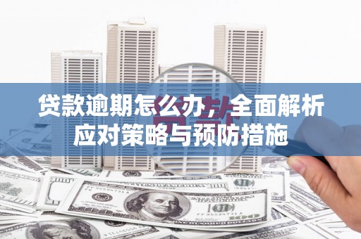 云龙贷款逾期怎么办，全面解析应对策略与预防措施