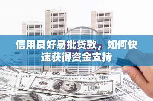 云龙信用良好易批贷款，如何快速获得资金支持
