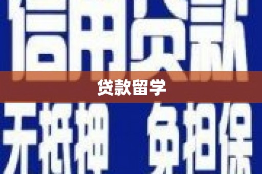 云龙贷款留学