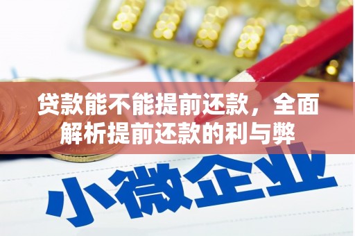 云龙贷款能不能提前还款，全面解析提前还款的利与弊