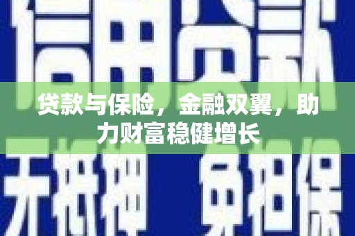 云龙贷款与保险，金融双翼，助力财富稳健增长