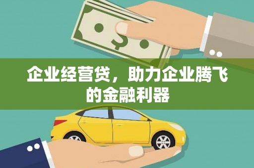 云龙企业经营贷，助力企业腾飞的金融利器