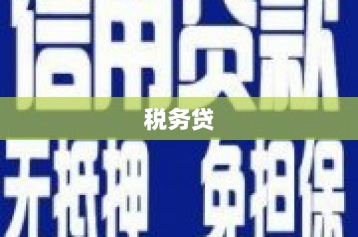 云龙税务贷
