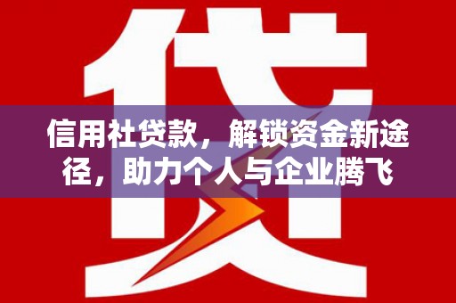 云龙信用社贷款，解锁资金新途径，助力个人与企业腾飞