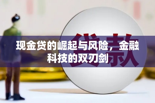 云龙现金贷的崛起与风险，金融科技的双刃剑