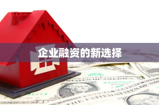 云龙企业融资的新选择