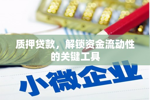 云龙质押贷款，解锁资金流动性的关键工具