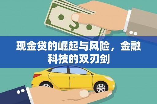 云龙现金贷的崛起与风险，金融科技的双刃剑