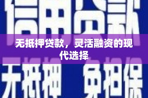 云龙无抵押贷款，灵活融资的现代选择