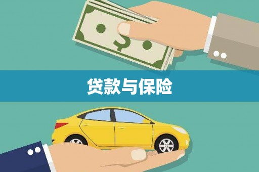 云龙贷款与保险