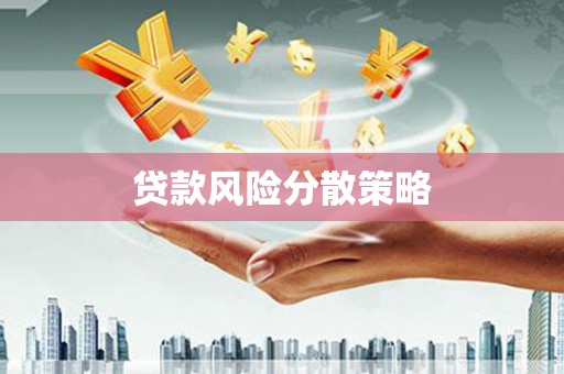 云龙贷款风险分散策略