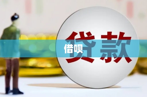 云龙借呗