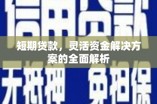 云龙短期贷款，灵活资金解决方案的全面解析