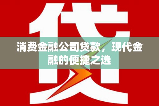 云龙消费金融公司贷款，现代金融的便捷之选