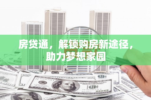 云龙房贷通，解锁购房新途径，助力梦想家园