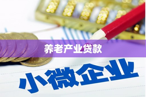 云龙养老产业贷款