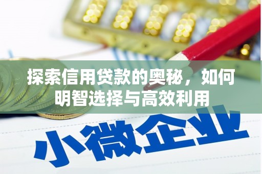 云龙探索信用贷款的奥秘，如何明智选择与高效利用