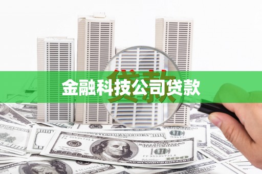 云龙金融科技公司贷款