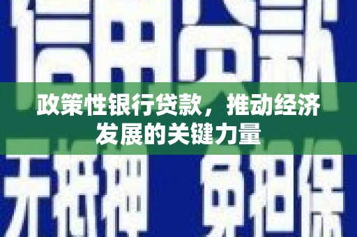云龙政策性银行贷款，推动经济发展的关键力量