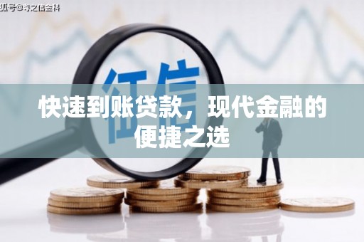 云龙快速到账贷款，现代金融的便捷之选