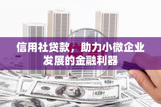 云龙信用社贷款，助力小微企业发展的金融利器