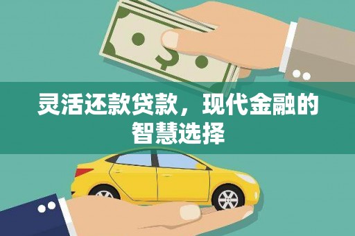 云龙灵活还款贷款，现代金融的智慧选择