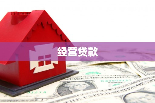 云龙经营贷款