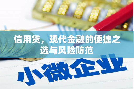 云龙信用贷，现代金融的便捷之选与风险防范