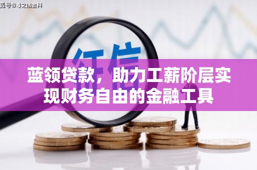 云龙蓝领贷款，助力工薪阶层实现财务自由的金融工具