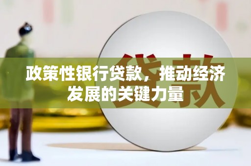 云龙政策性银行贷款，推动经济发展的关键力量