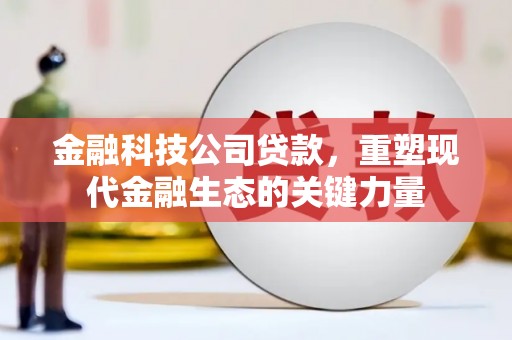 云龙金融科技公司贷款，重塑现代金融生态的关键力量