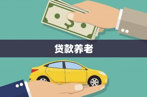 云龙贷款养老