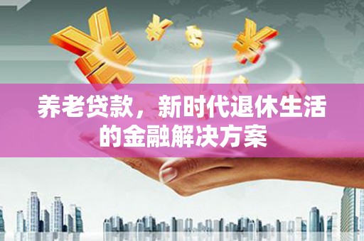 云龙养老贷款，新时代退休生活的金融解决方案