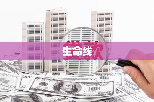云龙生命线