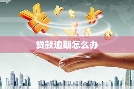 云龙贷款逾期怎么办