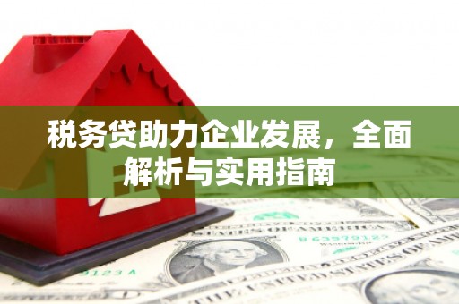 云龙税务贷助力企业发展，全面解析与实用指南