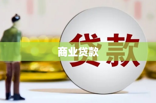 云龙商业贷款