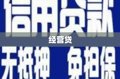 云龙经营贷
