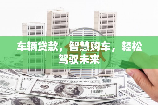 云龙车辆贷款，智慧购车，轻松驾驭未来