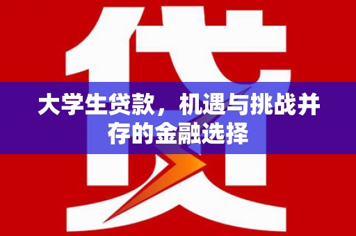 云龙大学生贷款，机遇与挑战并存的金融选择