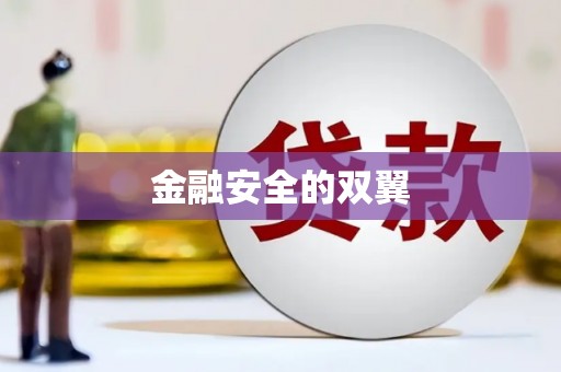 云龙金融安全的双翼