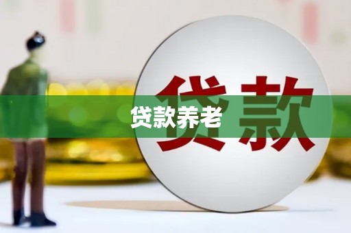 云龙贷款养老