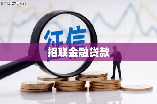 云龙招联金融贷款