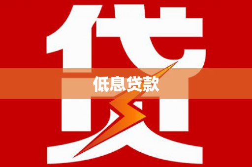 云龙低息贷款