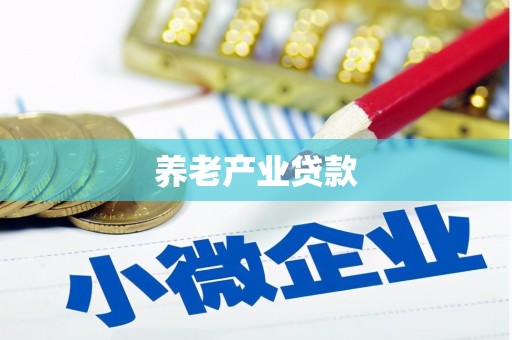 云龙养老产业贷款