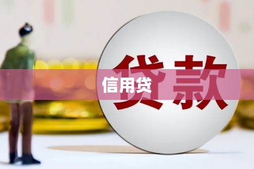 云龙信用贷