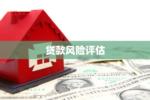 云龙贷款风险评估
