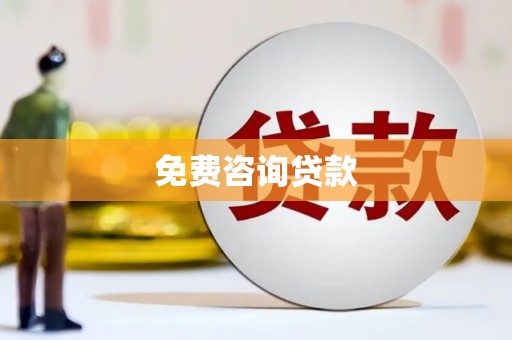 云龙免费咨询贷款