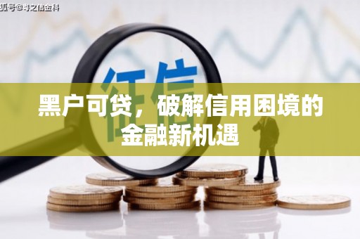 云龙黑户可贷，破解信用困境的金融新机遇